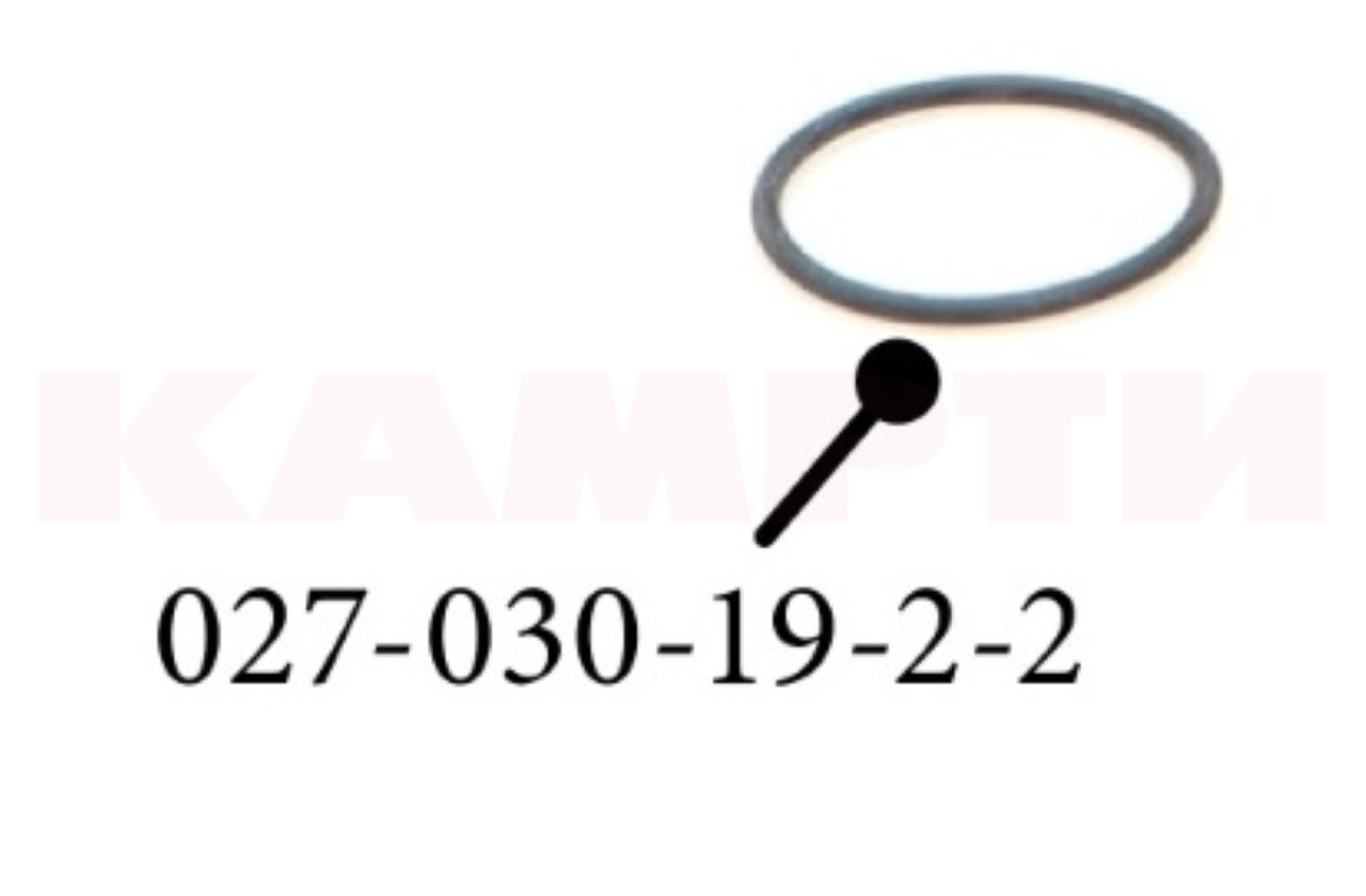 027-030-19-2-2 Кольцо уплотнительное ГОСТ 18829-73 (ОАО "БЕЛАРУСЬРЕЗИНОТЕХНИКА")