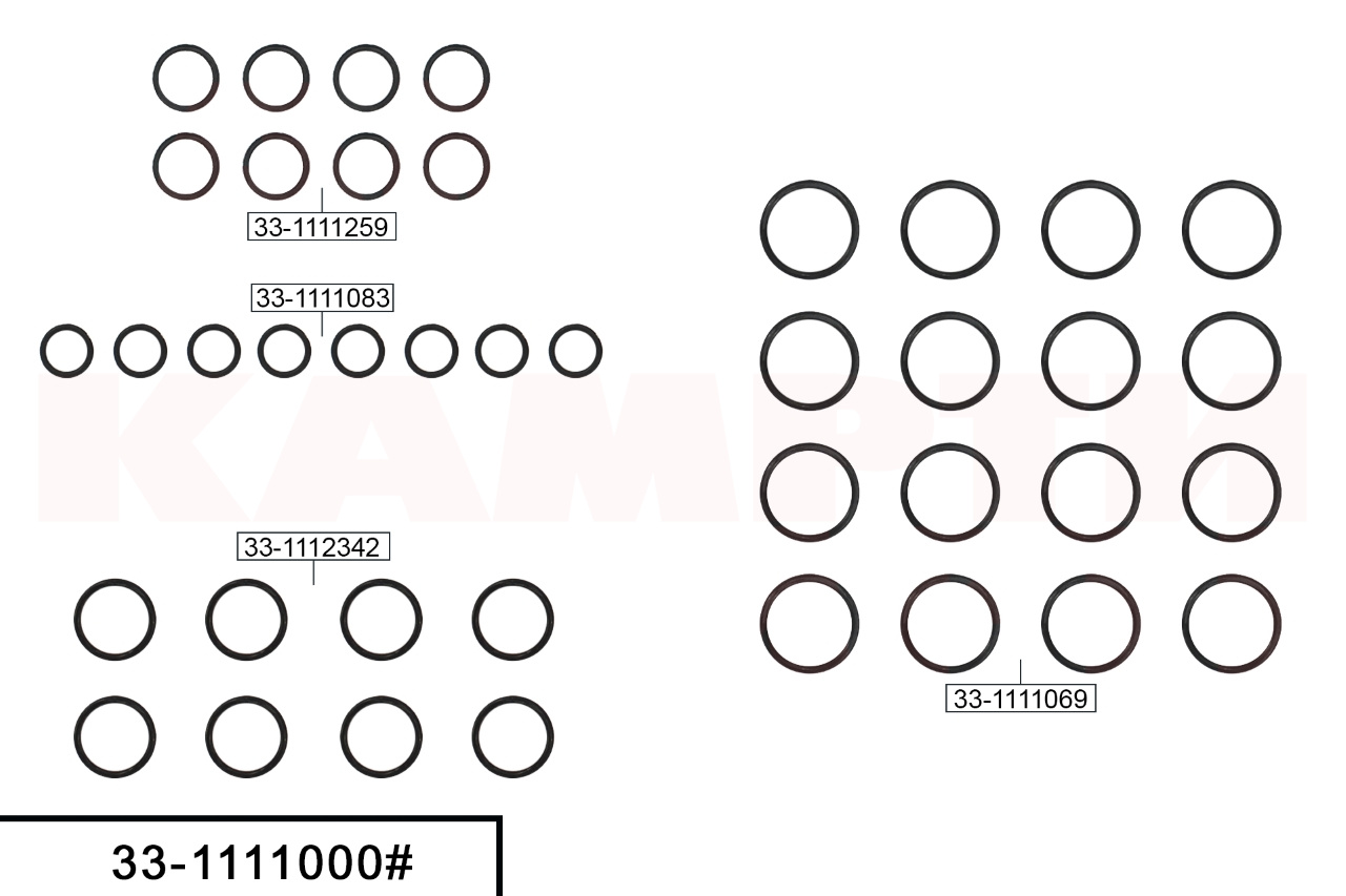 33-1111000# Ремкомплект секций ТНВД (топливный насос высокого давления), РТИ
