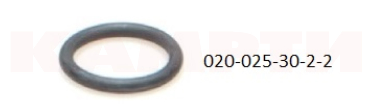 020-025-30-2-2 Кольцо уплотнительное (740-1003439) ГОСТ 18829-73 (ОАО "БЕЛАРУСЬРЕЗИНОТЕХНИКА")