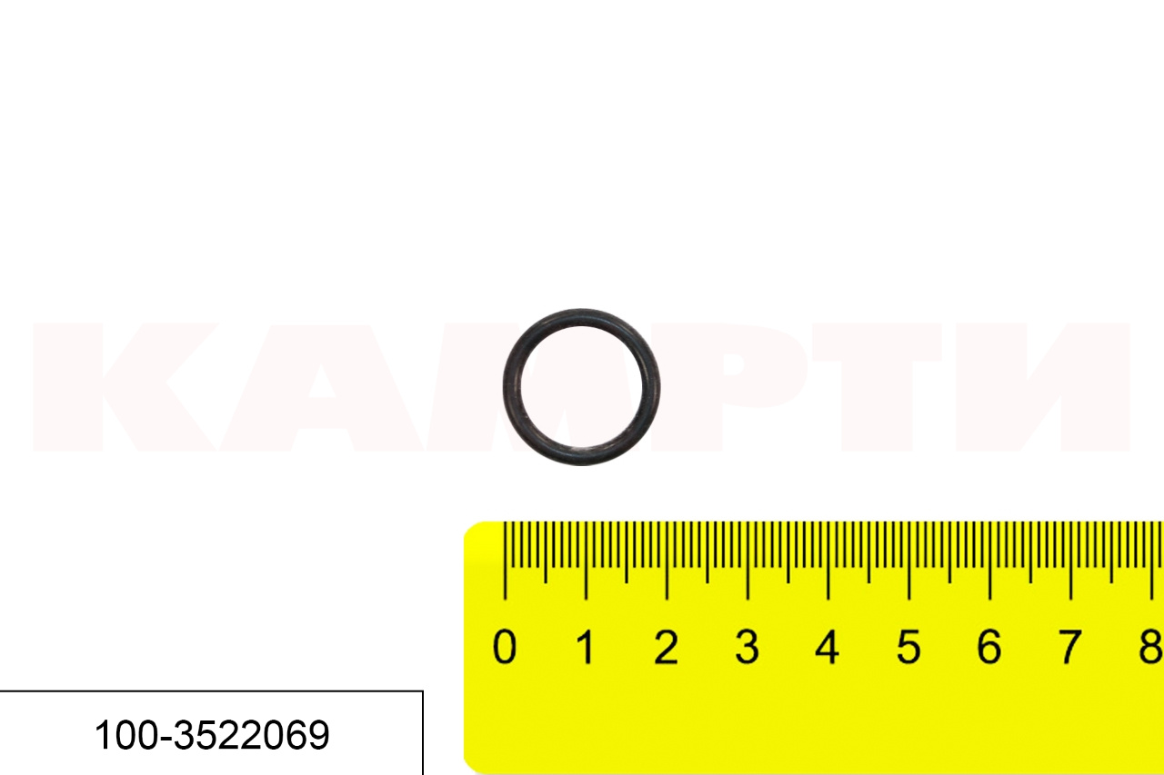 100-3522069 Кольцо, БРТ