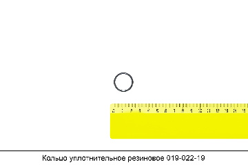 Кольцо уплотнительное резиновое 019-022-19-2-2