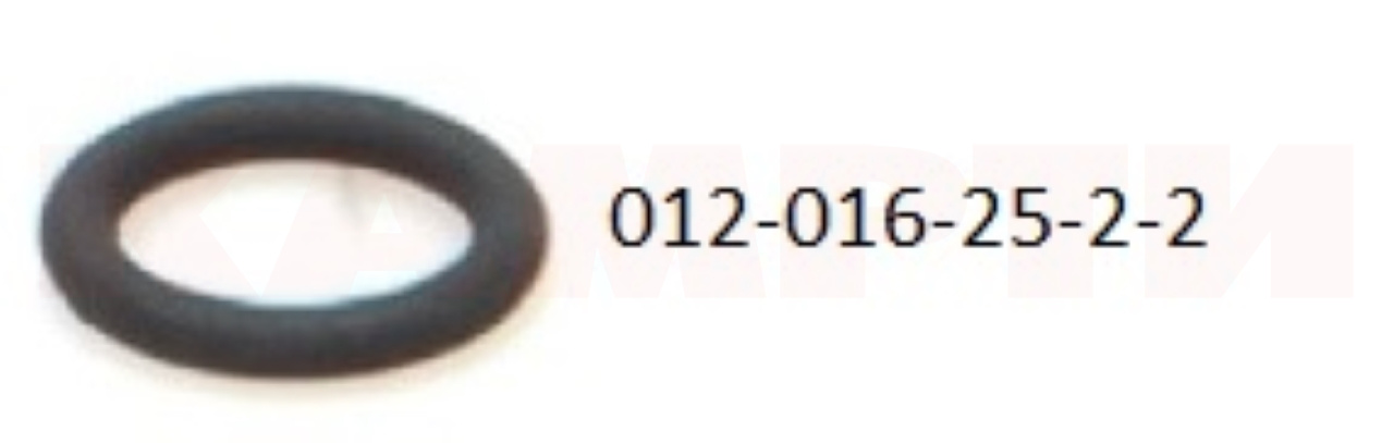 012-016-25-2-2 Кольцо уплотнительное (33.1110949) ГОСТ 18829-2017 (ОАО "БЕЛАРУСЬРЕЗИНОТЕХНИКА")